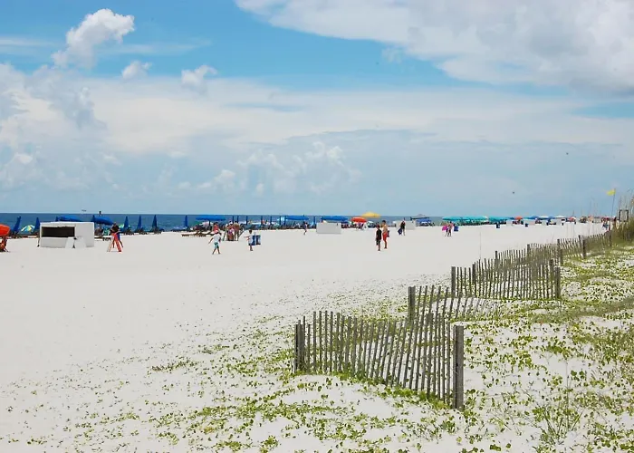 Island Winds East 409